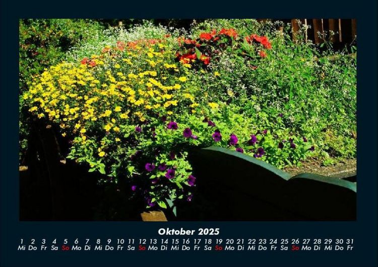 Produktbild: Blumenkalender 2025 Fotokalender DIN A4