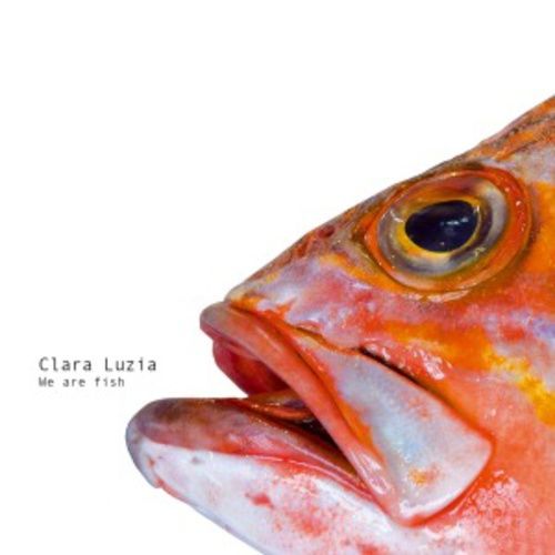 Produktbild: We Are Fish