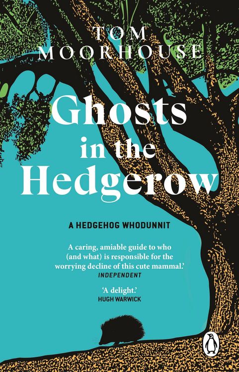 Produktbild: Ghosts in the Hedgerow