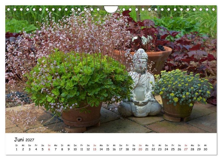 Produktbild: Mein Garten Eine Leidenschaft (Wandkalender 2027 DIN A4 quer), CALVENDO Monatskalender