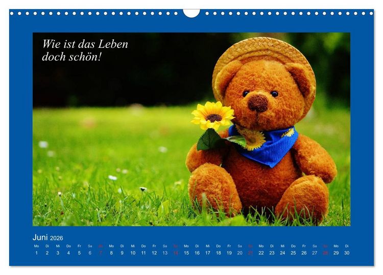 Produktbild: Sommer im Teddy-Land. B&auml;r und Freunde (Wandkalender 2026 DIN A3 quer), CALVENDO Monatskalender