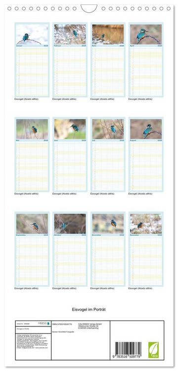 Produktbild: Familienplaner 2026 - Eisvogel im Portr&auml;t mit 5 Spalten (Wandkalender, 21 x 45 cm) CALVENDO