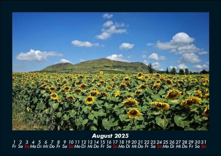 Produktbild: Blumenzauber 2025 Fotokalender DIN A5