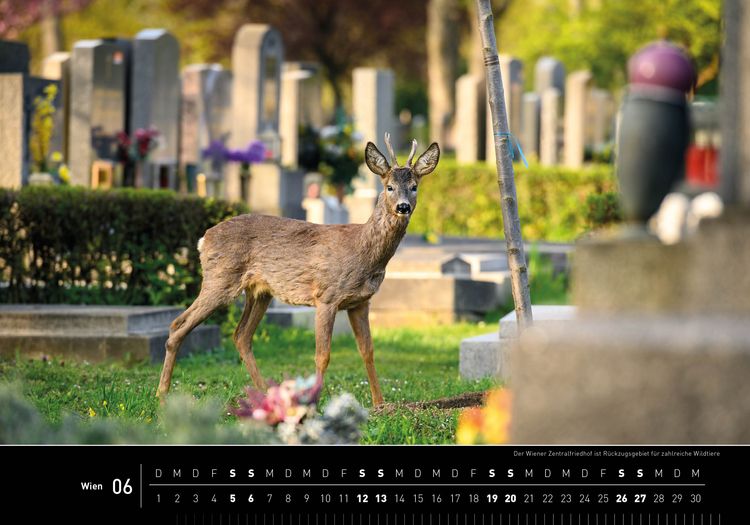 Produktbild: Wien Premiumkalender 2027