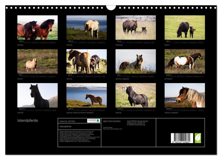 Produktbild: Islandpferde (Wandkalender 2026 DIN A3 quer), CALVENDO Monatskalender