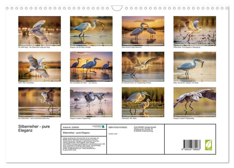 Produktbild: Silberreiher - pure Eleganz (Wandkalender 2027 DIN A3 quer), CALVENDO Monatskalender