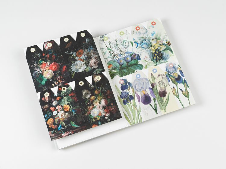 Produktbild: Flowers
