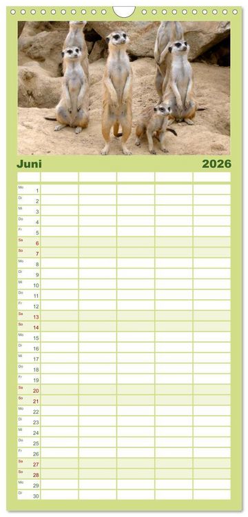 Produktbild: Familienplaner 2026 - Erdm&auml;nnchen mit 5 Spalten (Wandkalender, 21 x 45 cm) CALVENDO