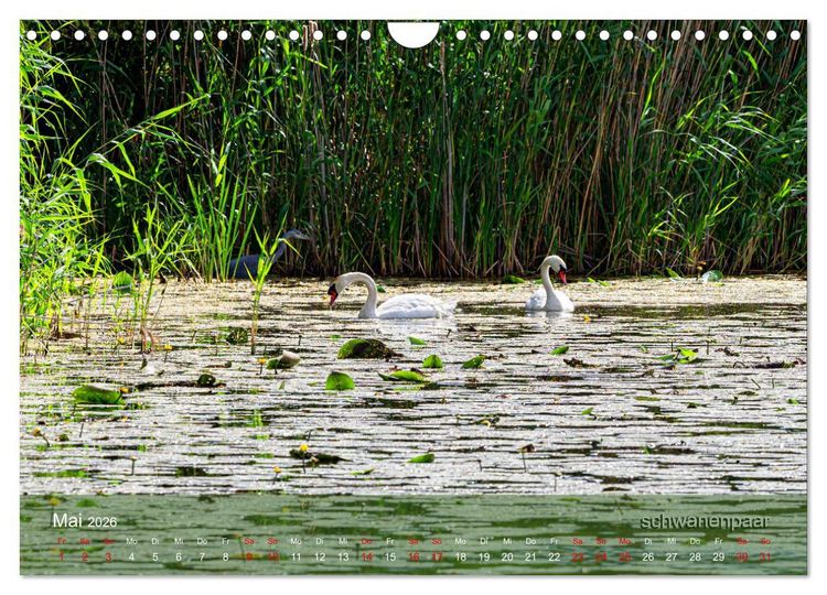 Produktbild: der elbestrom (Wandkalender 2026 DIN A4 quer), CALVENDO Monatskalender