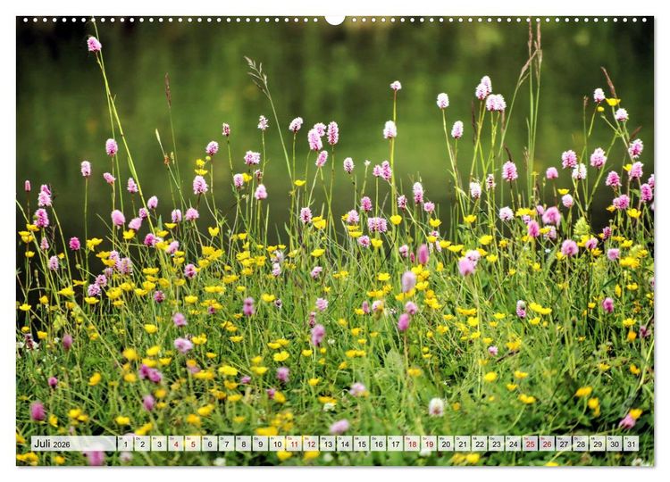 Produktbild: Georgien - Kirchen Kl&ouml;ster Kaukasus (Wandkalender 2026 DIN A2 quer), CALVENDO Monatskalender