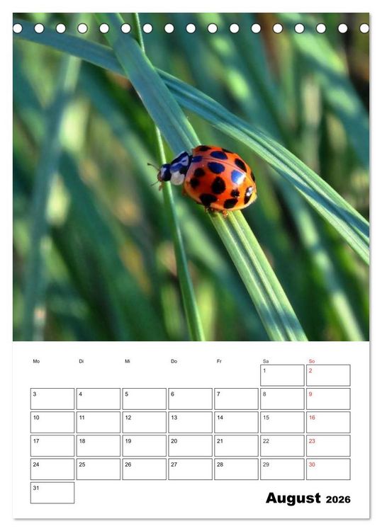 Produktbild: Heimische Wildtiere Terminplaner (Tischkalender 2026 DIN A5 hoch), CALVENDO Monatskalender