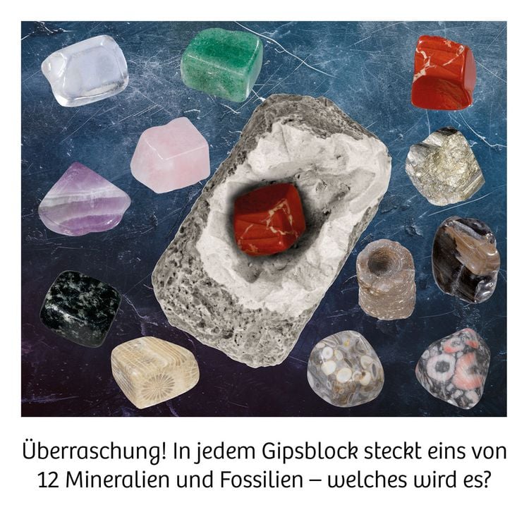 Produktbild: Ausgrabung Mineralien