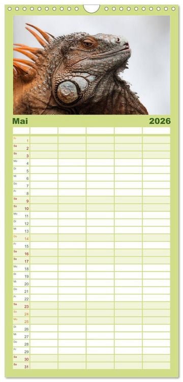 Produktbild: Familienplaner 2026 - Echsen - Schuppige &Uuml;berlebensk&uuml;nstler mit 5 Spalten (Wandkalender, 21 x 45 cm) CALVENDO