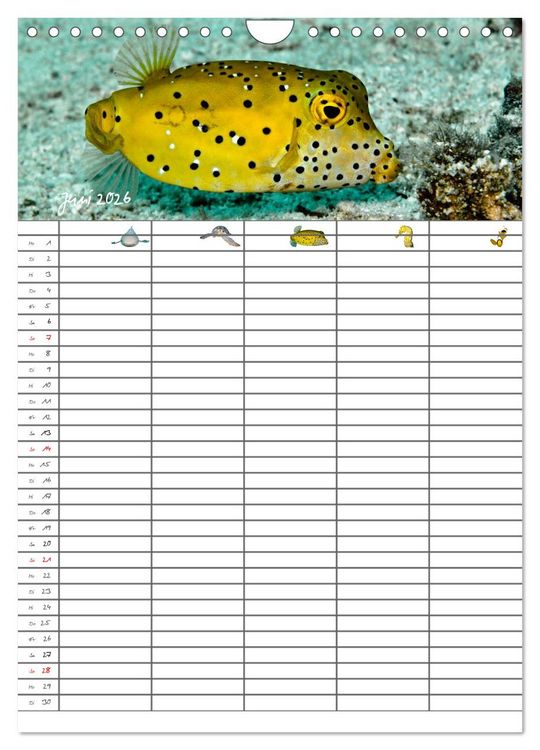 Produktbild: Der Unterwasser Familienplaner 2026 (Wandkalender 2026 DIN A4 hoch), CALVENDO Monatskalender