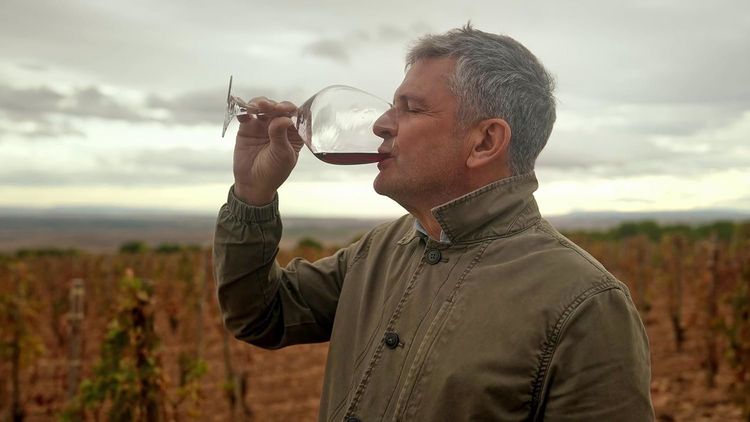Produktbild: Das Land der tausend Weine (OmU)