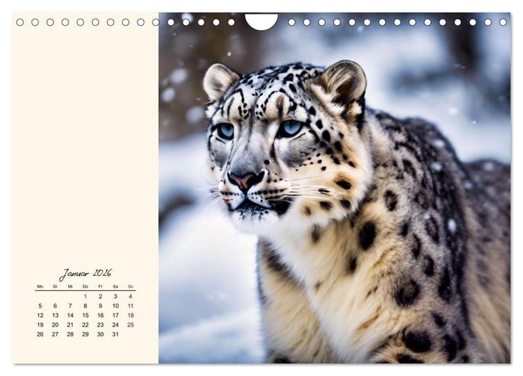 Produktbild: Im Reich der Schneeleoparden (Wandkalender 2026 DIN A4 quer), CALVENDO Monatskalender