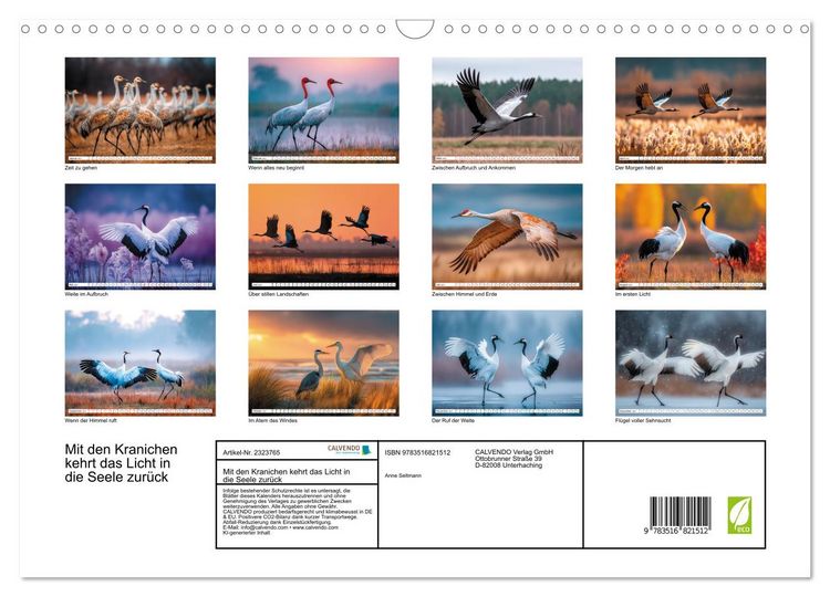 Produktbild: Mit den Kranichen kehrt das Licht in die Seele zur&uuml;ck (Wandkalender 2027 DIN A3 quer), CALVENDO Monatskalender