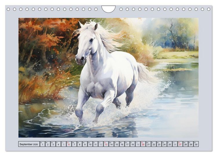 Produktbild: Anmutige Schimmel. &Auml;sthetik wei&szlig;er Aquarell-Pferde (Wandkalender 2026 DIN A4 quer), CALVENDO Monatskalender