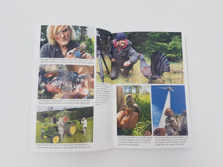 Produktbild: Kielings kleine Waldschule