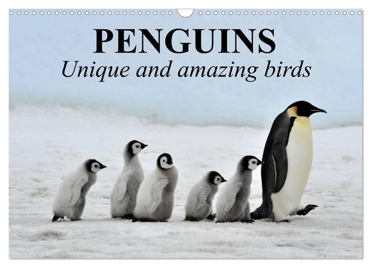 Produktbild: Penguins Unique and amazing birds (Wall Calendar 2026 DIN A3 landscape), CALVENDO 12 Month Wall Calendar