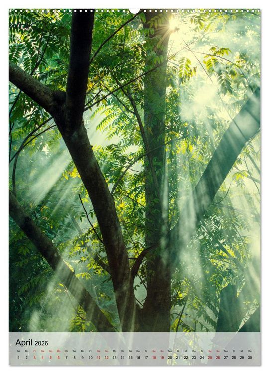 Produktbild: MADAGASKAR: Baobabs, Lemuren, Naturwunder (Wandkalender 2026 DIN A2 hoch), CALVENDO Monatskalender