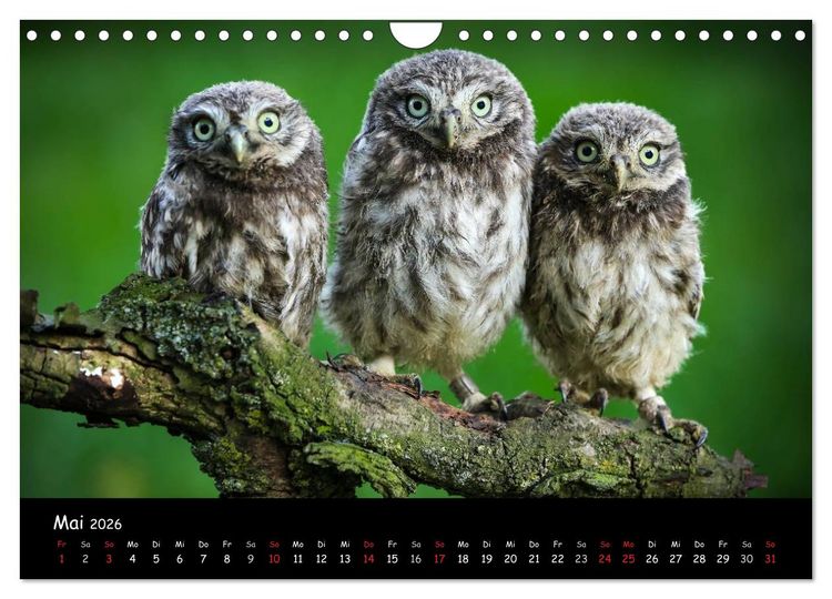 Produktbild: Billerbeck - Perle der Baumberge (Wandkalender 2026 DIN A4 quer), CALVENDO Monatskalender