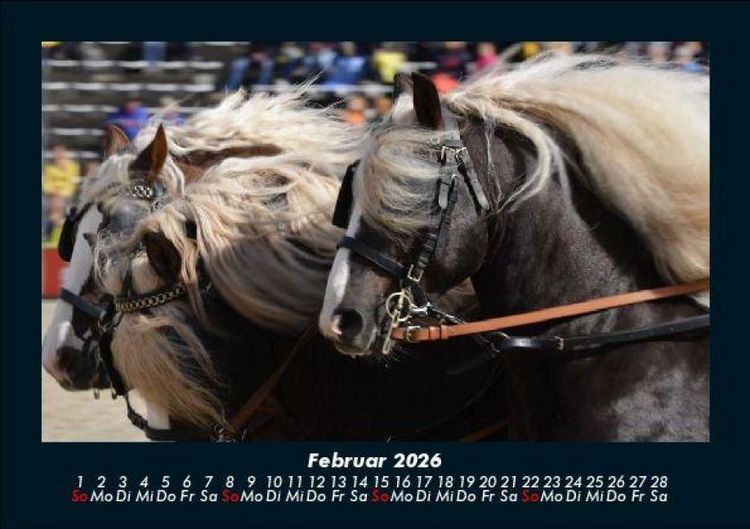 Produktbild: Pferdegefl&uuml;ster 2026 Fotokalender DIN A5