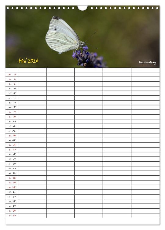 Produktbild: Schmetterlinge in Bayern (Wandkalender 2026 DIN A3 hoch), CALVENDO Monatskalender