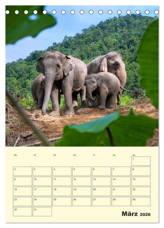 Produktbild: ELEFANTEN - Asiens graue Riesen (Tischkalender 2026 DIN A5 hoch), CALVENDO Monatskalender