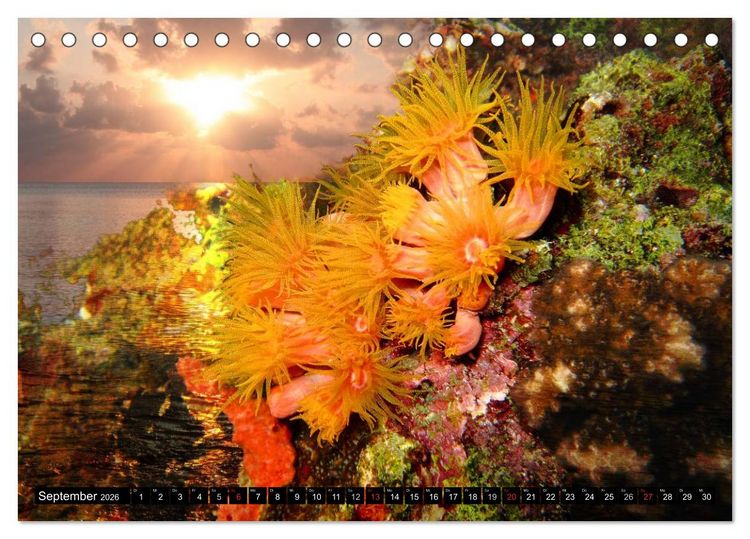 Produktbild: Surreale Unterwasserwelt (Tischkalender 2026 DIN A5 quer), CALVENDO Monatskalender
