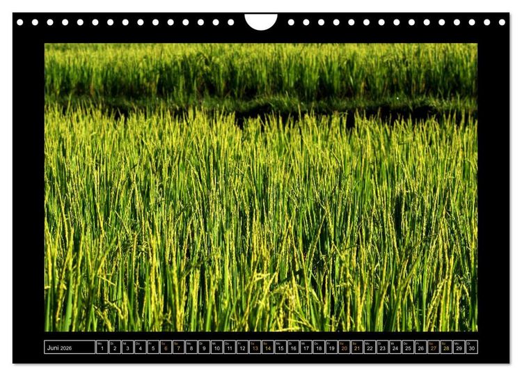 Produktbild: Bali - Details (Wandkalender 2026 DIN A4 quer), CALVENDO Monatskalender
