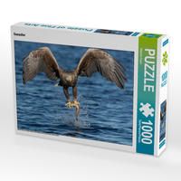 Produktbild: CALVENDO Puzzle Seeadler | 1000 Teile Lege-Gr&ouml;&szlig;e 64x48cm Foto-Puzzle f&uuml;r gl&uuml;ckliche Stunden