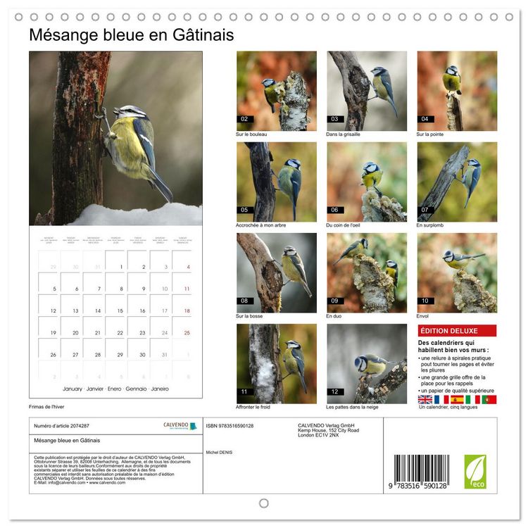 Produktbild: M&eacute;sange bleue en G&acirc;tinais (Calendrier mural carr&eacute; 2026 30x30 cm) Calendrier double avec une page pour vos prises de notes