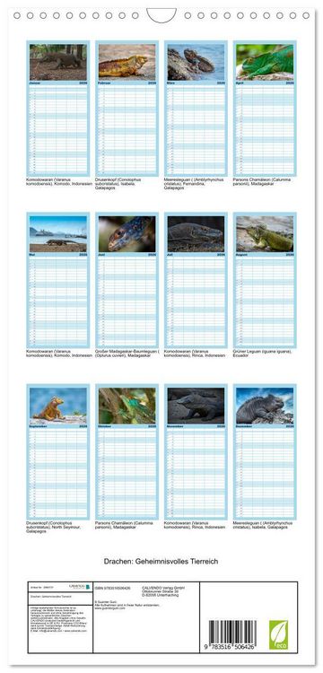 Produktbild: Familienplaner 2026 - Drachen: Geheimnisvolles Tierreich mit 5 Spalten (Wandkalender, 21 x 45 cm) CALVENDO