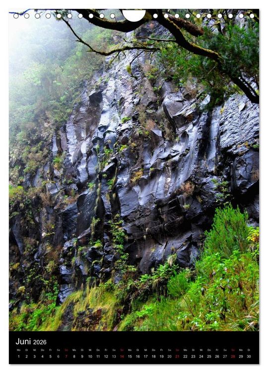 Produktbild: MADEIRA (Wandkalender 2026 DIN A4 hoch), CALVENDO Monatskalender