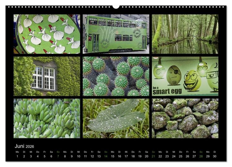 Produktbild: Colours (Wandkalender 2026 DIN A2 quer), CALVENDO Monatskalender