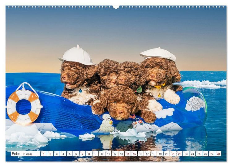 Produktbild: Lagotto Romagnolo Welpen - Sieben kleine Weltentdecker auf gro&szlig;er Fahrt (Wandkalender 2026 DIN A2 quer), CALVENDO Monatskalender