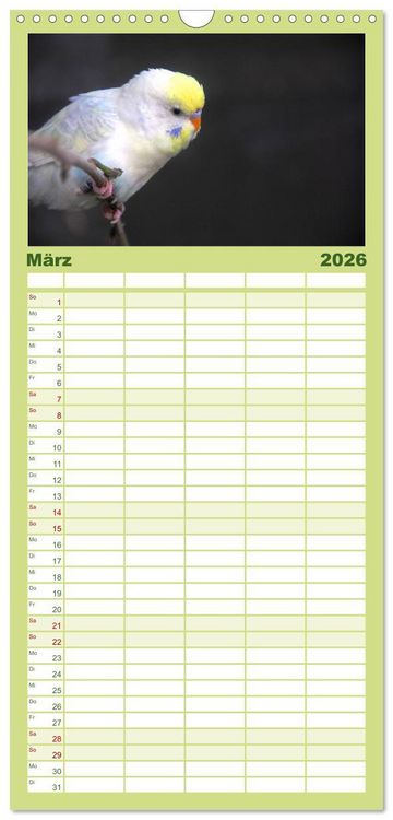 Produktbild: Familienplaner 2026 - Wellensittiche - Naturkalender mit 5 Spalten (Wandkalender, 21 x 45 cm) CALVENDO
