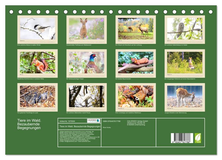 Produktbild: Tiere im Wald. Bezaubernde Begegnungen (Tischkalender 2026 DIN A5 quer), CALVENDO Monatskalender