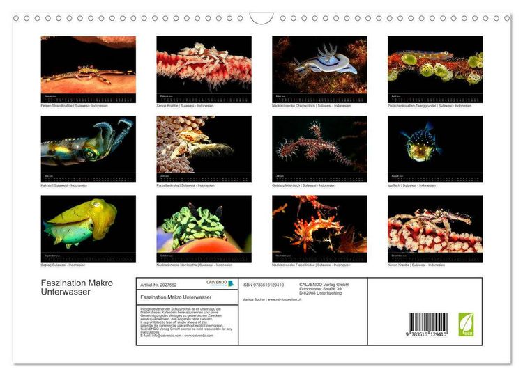 Produktbild: Faszination Makro Unterwasser (Wandkalender 2026 DIN A3 quer), CALVENDO Monatskalender