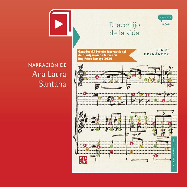 Produktbild: El acertijo de la vida
