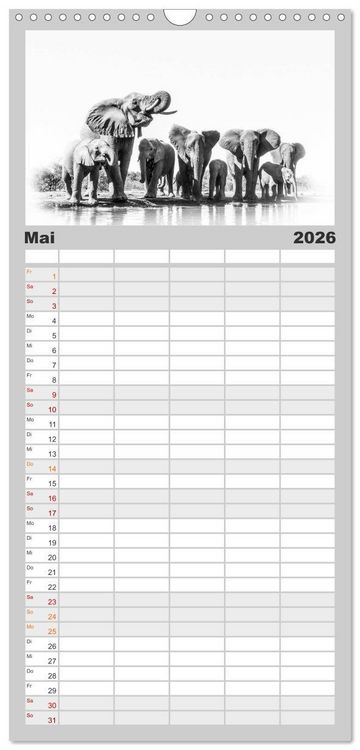 Produktbild: Familienplaner 2026 - AFRIKA - Schwarz-weiss Fotografien im modernen "High Key" Look mit 5 Spalten (Wandkalender, 21 x 45 cm) CALVENDO
