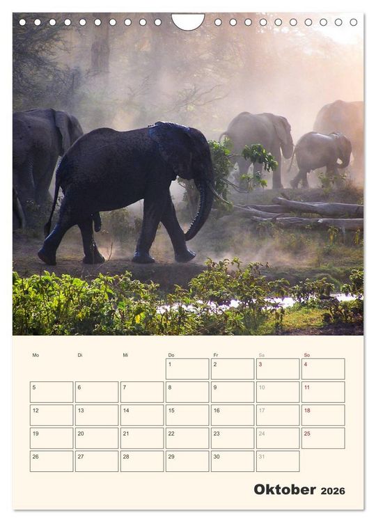 Produktbild: Kenia &ndash; Terminplaner (Wandkalender 2026 DIN A4 hoch), CALVENDO Monatskalender