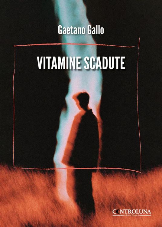Produktbild: Vitamine scadute