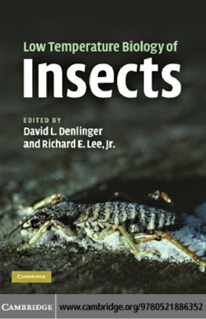 Produktbild: Low Temperature Biology of Insects