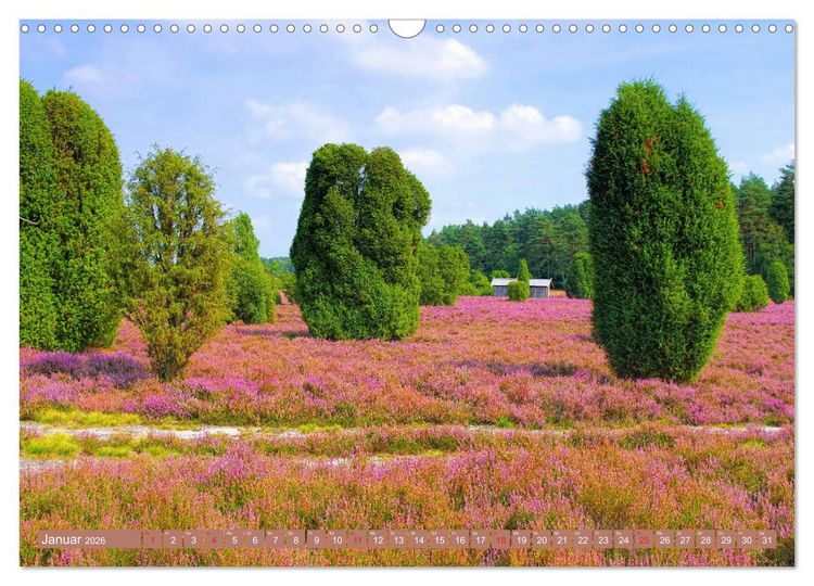 Produktbild: L&uuml;neburger Heide - Wanderung rund um Wilsede und Totengrund (Wandkalender 2026 DIN A3 quer), CALVENDO Monatskalender