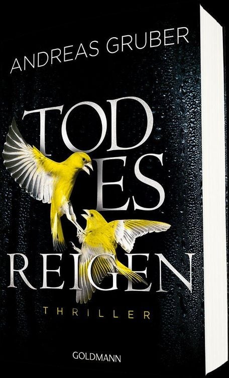 Produktbild: Todesreigen / Maarten S. Sneijder Band 4
