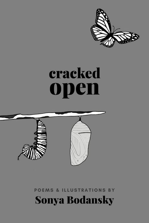 Produktbild: Cracked Open