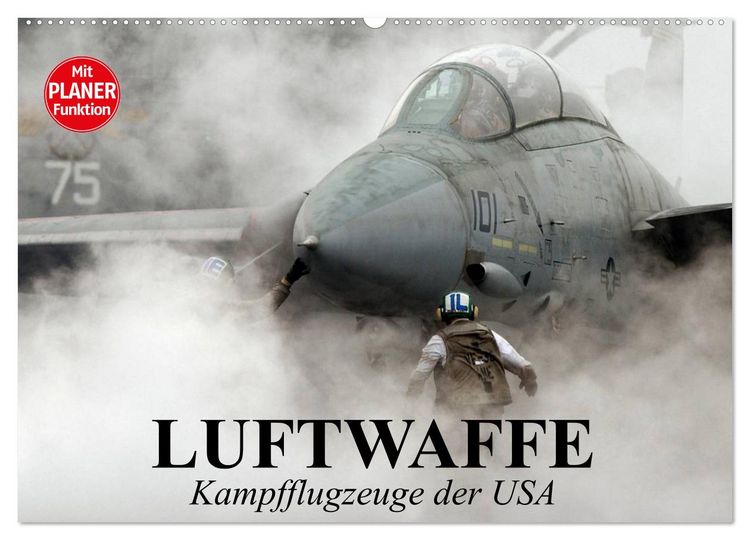Produktbild: Luftwaffe. Kampfflugzeuge der USA (Wandkalender 2026 DIN A2 quer), CALVENDO Monatskalender
