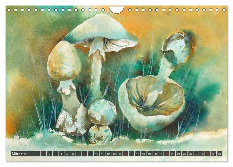 Produktbild: Pilze in Aquarell (Wandkalender 2026 DIN A4 quer), CALVENDO Monatskalender
